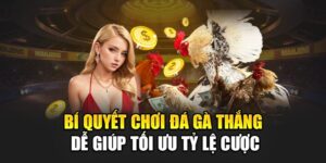 bi-quyet-choi-da-ga-thang-de-giup-toi-uu-ty-le-cuoc