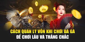 cach-quan-ly-von-khi-choi-da-ga-de-choi-lau-va-thang-chac