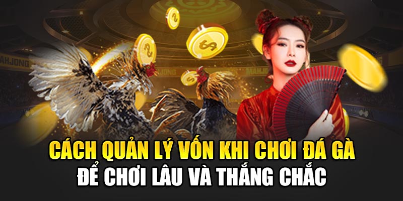 cach-quan-ly-von-khi-choi-da-ga-de-choi-lau-va-thang-chac