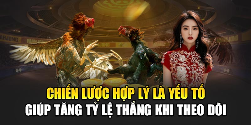 Chiến lược hợp lý là yếu tố giúp tăng tỷ lệ thắng khi theo dõi