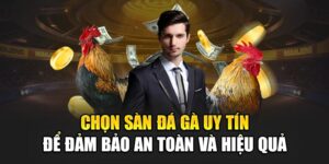 chon-san-da-ga-uy-tin-de-dam-bao-an-toan-va-hieu-qua