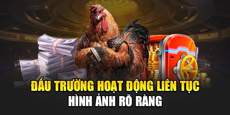 Đấu trường hoạt động liên tục hình ảnh rõ ràng