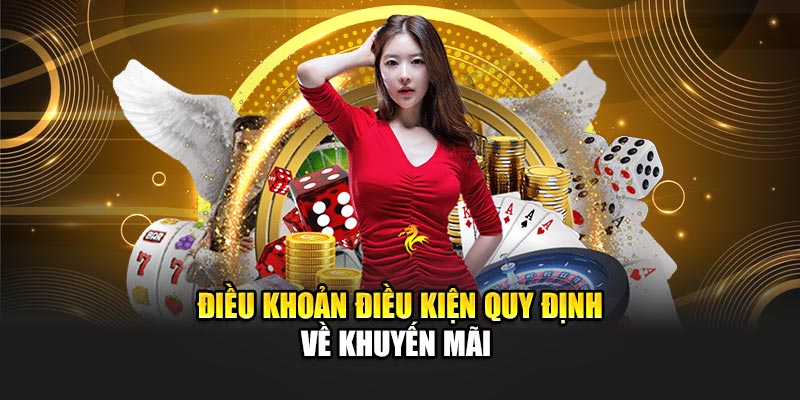 Điều khoản điều kiện quy định về khuyến mãi 