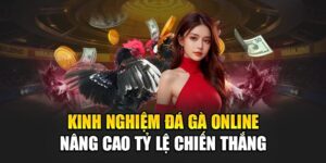 kinh-nghiem-da-ga-online-nang-cao-ty-le-chien-thang