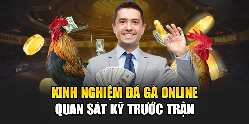 Kinh nghiệm đá gà online quan sát kỹ trước trận