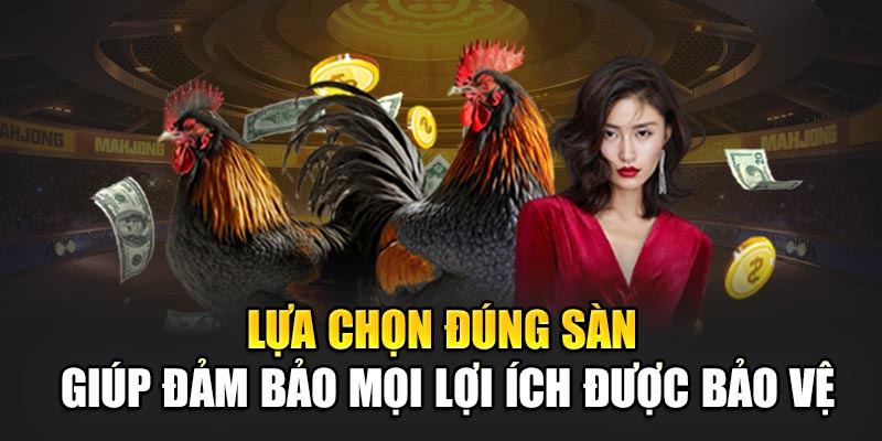 Lựa chọn đúng sàn giúp đảm bảo mọi lợi ích được bảo vệ