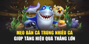 meo-ban-ca-trung-nhieu-ca-giup-tang-hieu-qua-thang-lon
