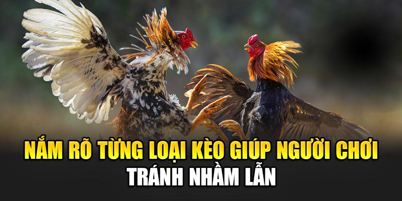 Nắm rõ từng loại kèo giúp người chơi tránh nhầm lẫn