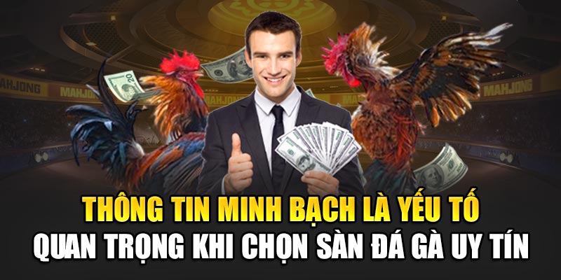 Thông tin minh bạch là yếu tố quan trọng khi chọn sàn đá gà uy tín