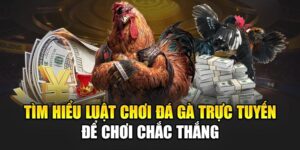 tim-hieu-luat-choi-da-ga-truc-tuyen-de-choi-chac-thang