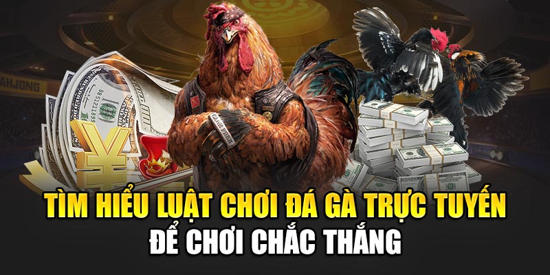 tim-hieu-luat-choi-da-ga-truc-tuyen-de-choi-chac-thang