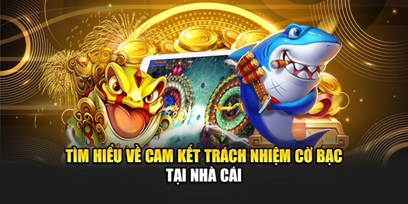 Tìm hiểu về cam kết trách nhiệm cờ bạc tại nhà cái
