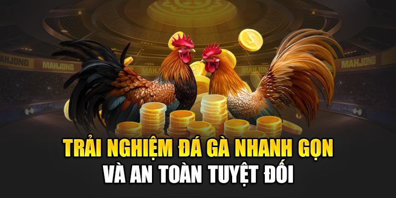 Trải nghiệm đá gà nhanh gọn và an toàn tuyệt đối